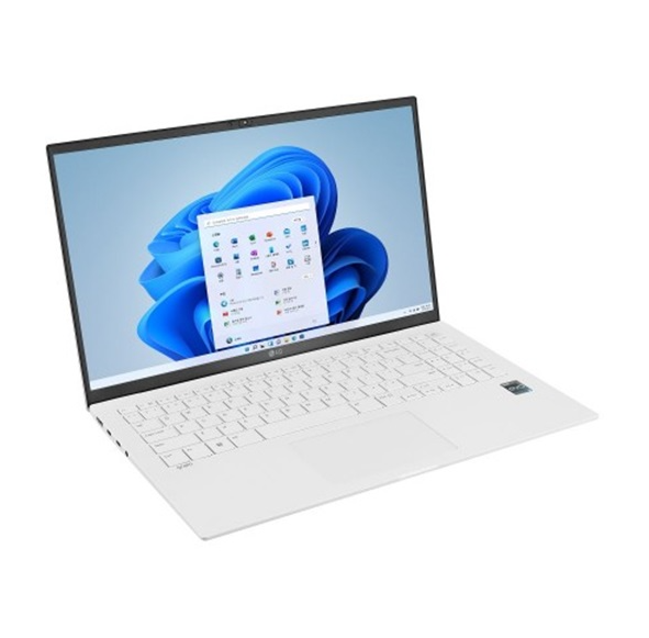 LG그램 15ZB90Q (I5-13세대)